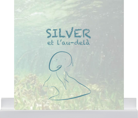 Silver et l'au-delà